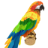 Parakeet TDT
