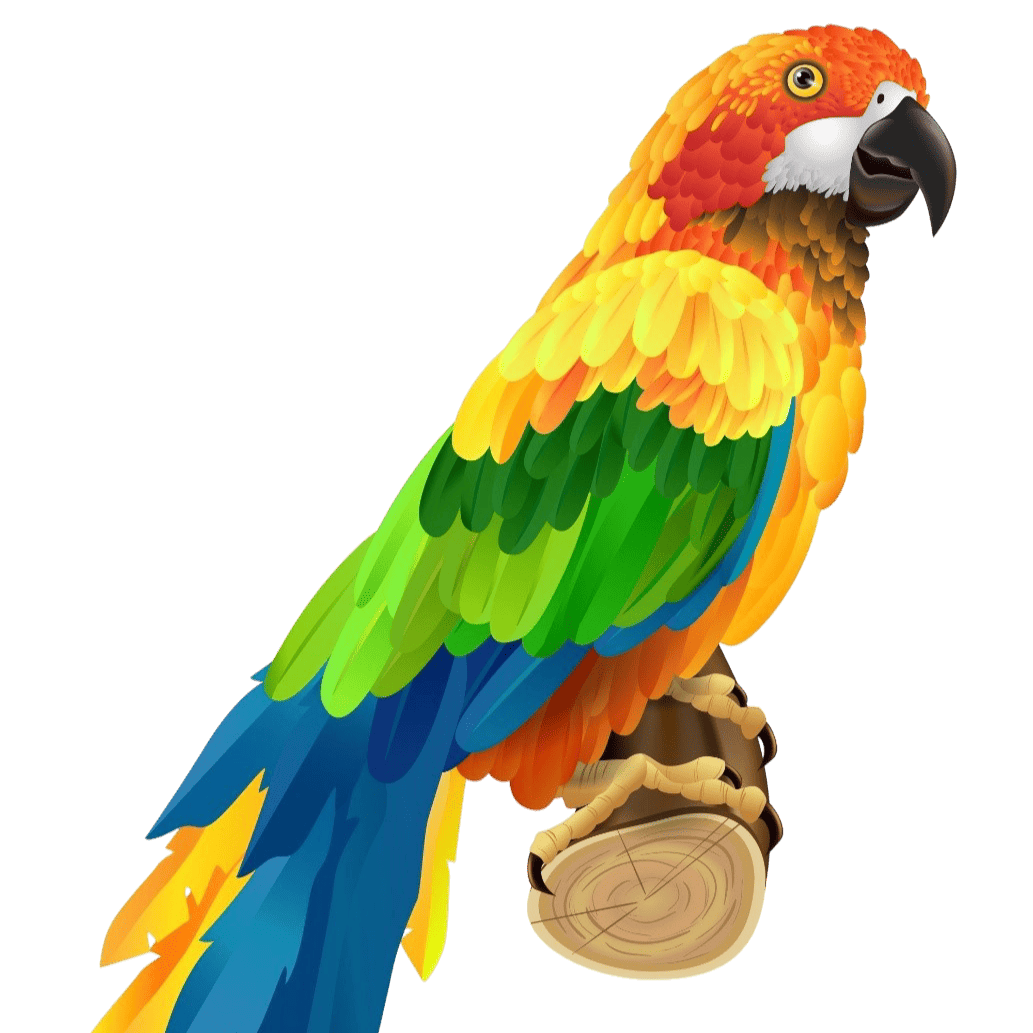 Parakeet TDT